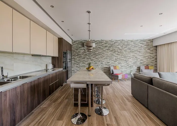 Nastazia Luxury House 别墅 伊利索斯